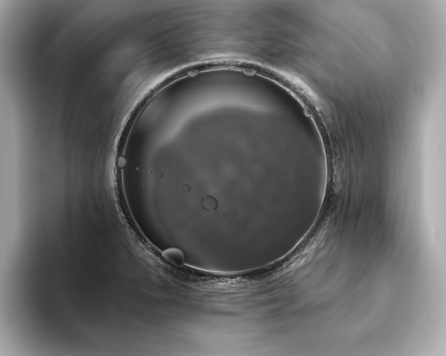 X0000093621279200710151254