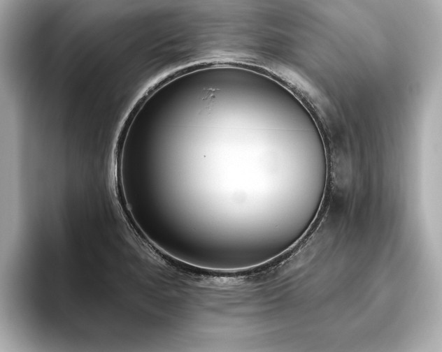 X0000093621280200710151254