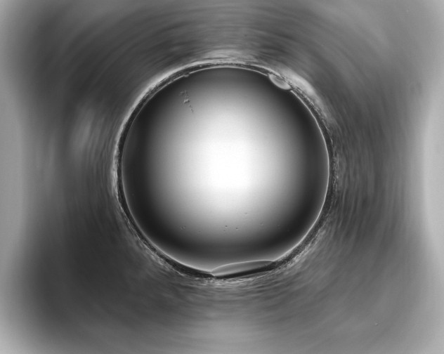 X0000093621288200710151254
