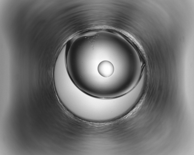X0000093621289200710151254