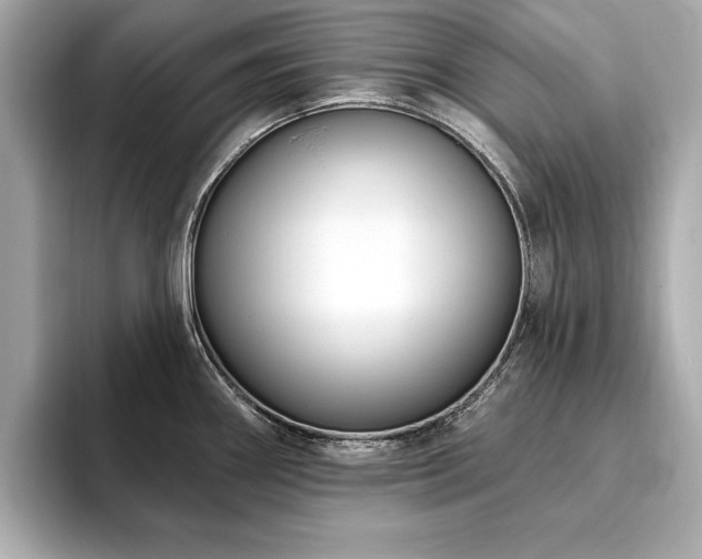 X0000093621290200710151254