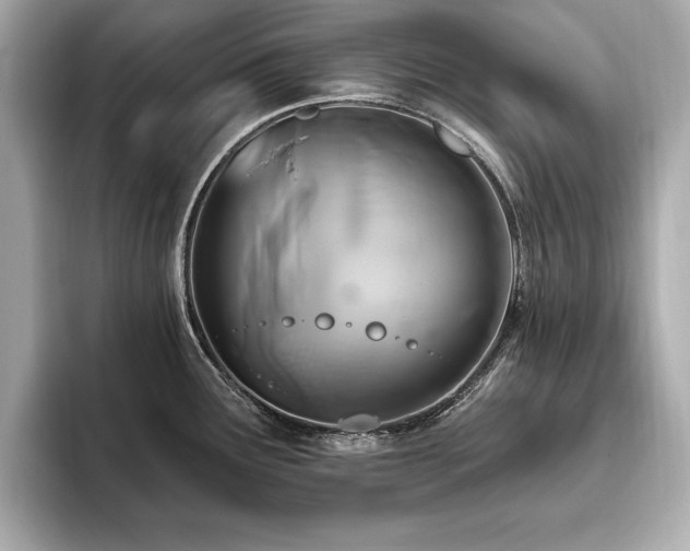 X0000093621291200710151254