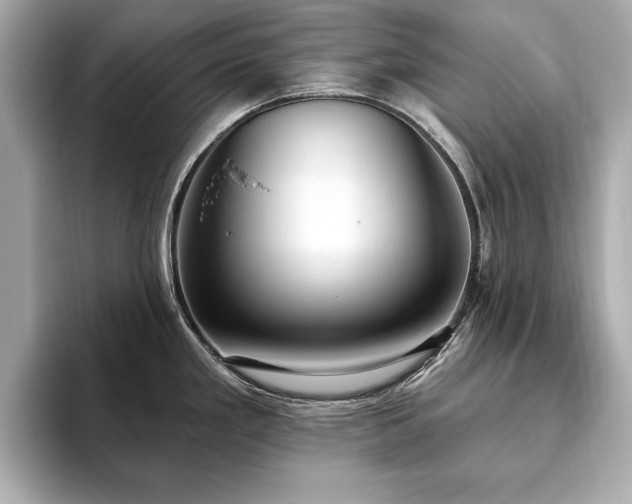 X0000093621293200710151253