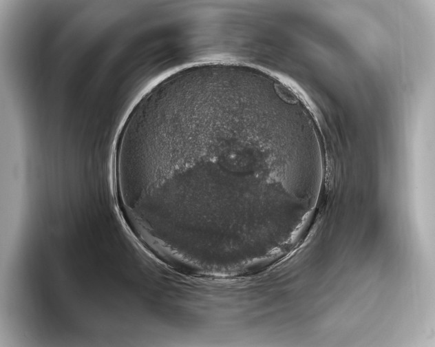 X0000093621295200710151253
