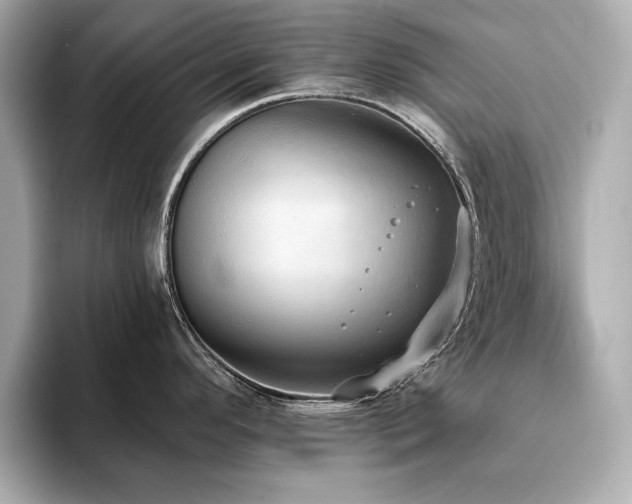 X0000093621296200710151253