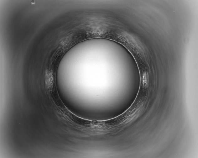 X0000093621299200710151253