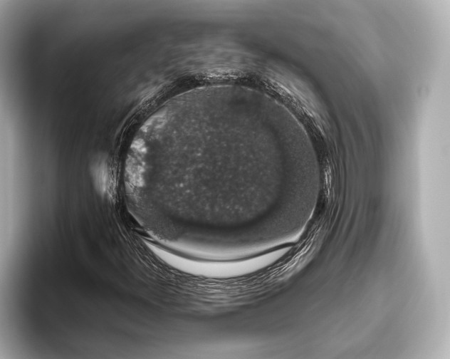 X0000093621300200710151253