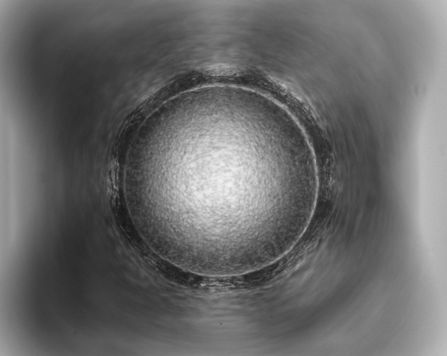 X0000093621301200710151253