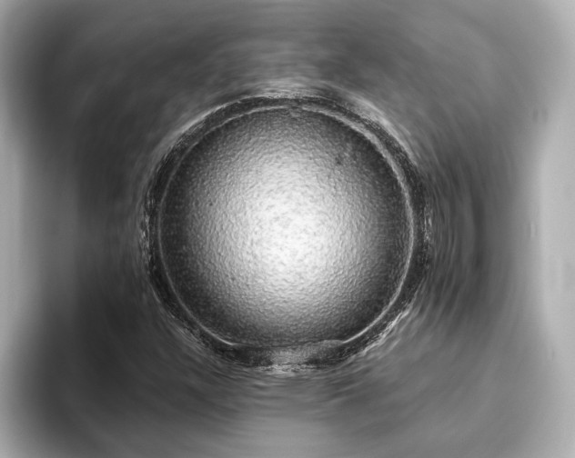 X0000093621304200710151253