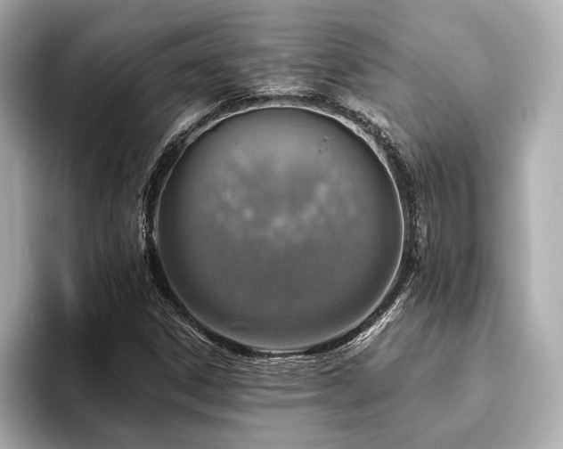 X0000093621306200710151253