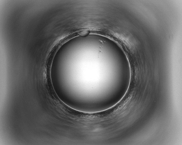 X0000093621307200710151253
