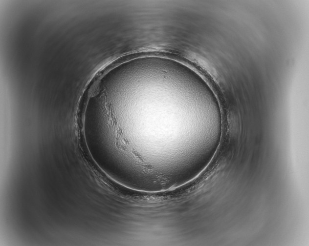 X0000093621308200710151253
