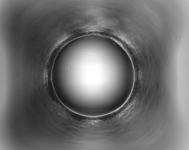 X0000093621309200710151253
