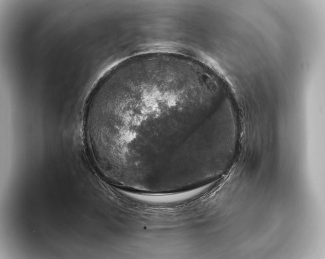 X0000093621312200710151253