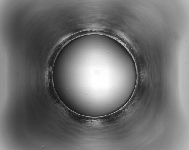 X0000093621315200710151253
