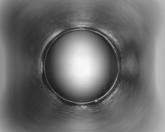X0000093621317200710151253