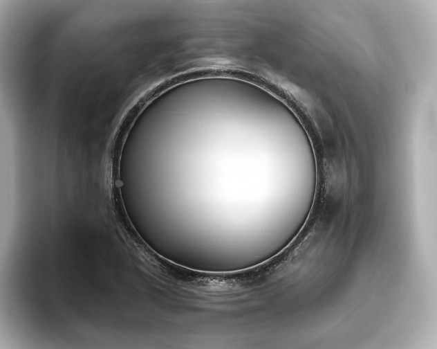 X0000093621318200710151253