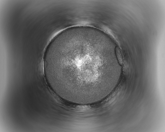 X0000093621320200710151253