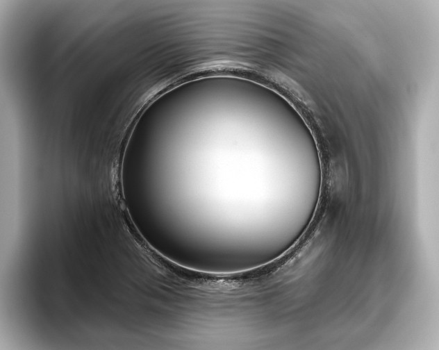 X0000093621321200710151253