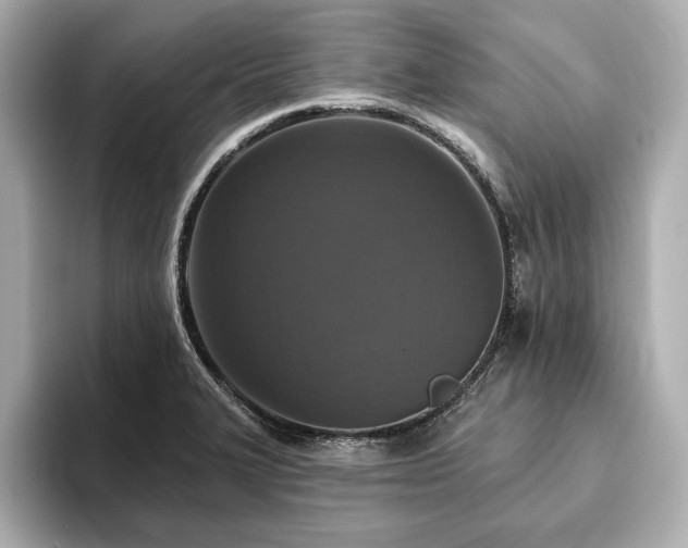 X0000093621327200710151253