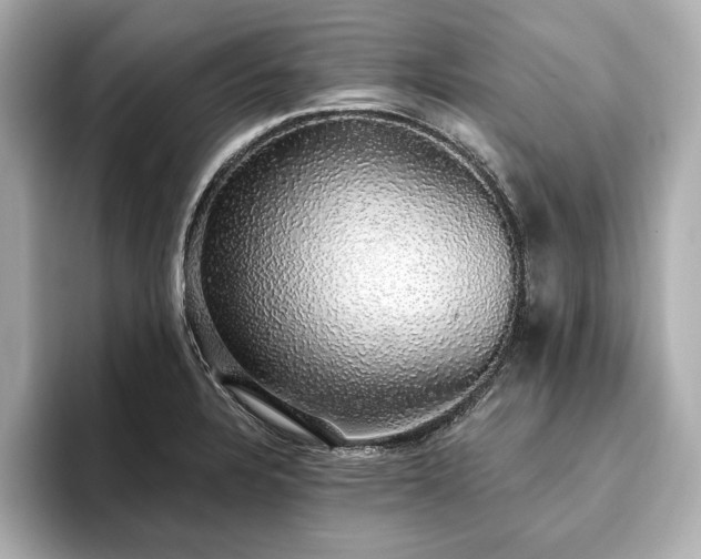 X0000093621328200710151253