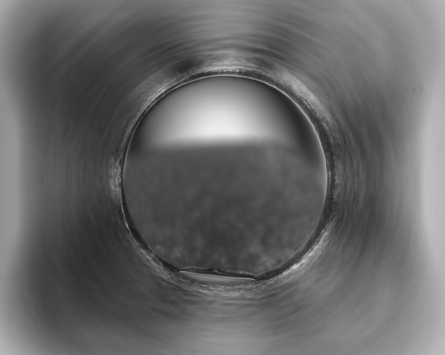 X0000093621329200710151253