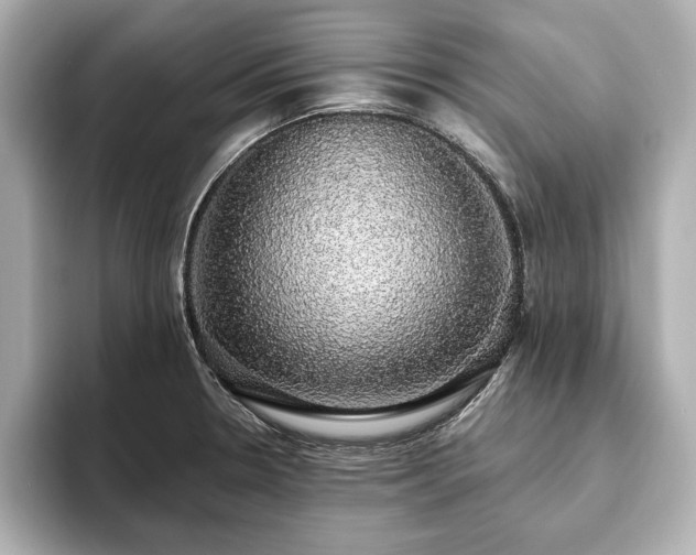 X0000093621330200710151253