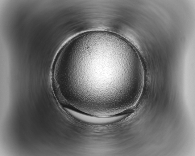 X0000093621332200710151253
