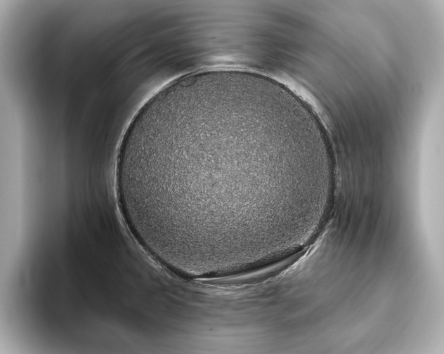 X0000093621333200710151253