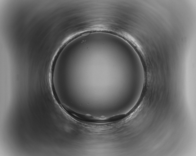 X0000093621334200710151253