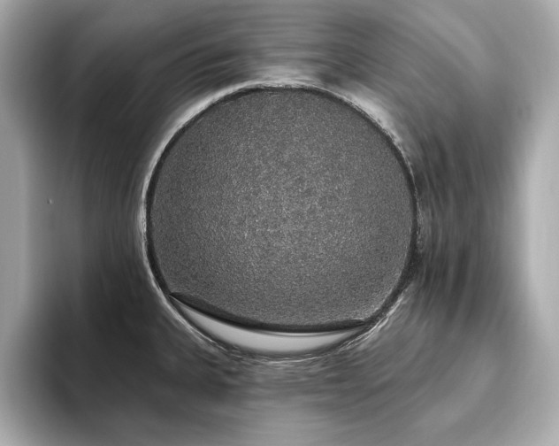 X0000093621335200710151253