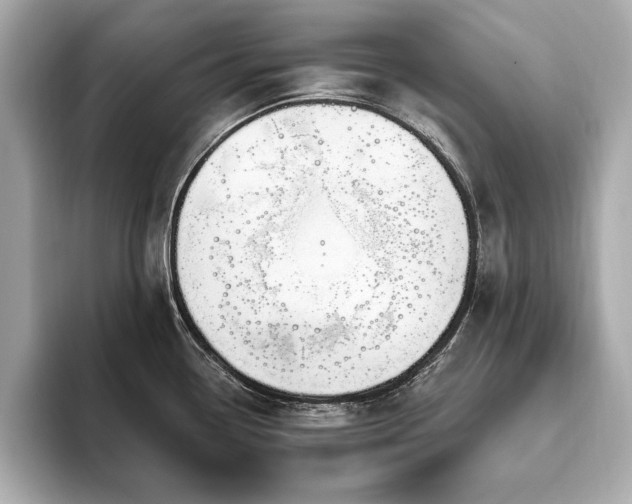 X0000093621338200710151253