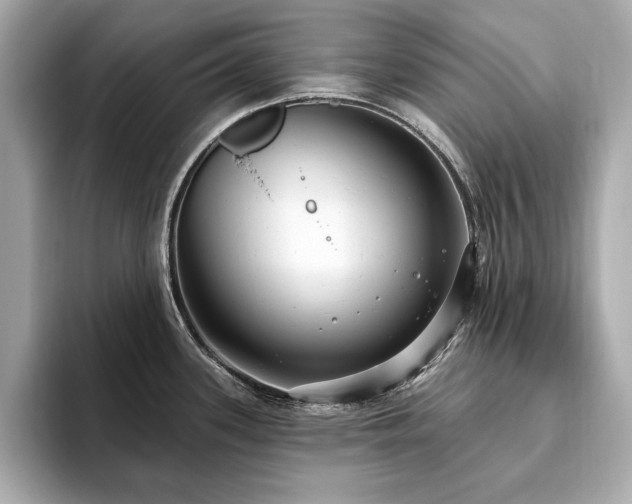 X0000093621339200710151253
