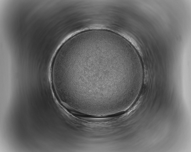 X0000093621342200710151253