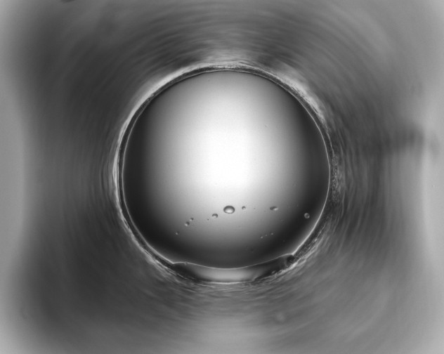 X0000093621343200710151253