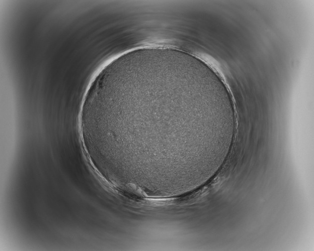 X0000093621344200710151253