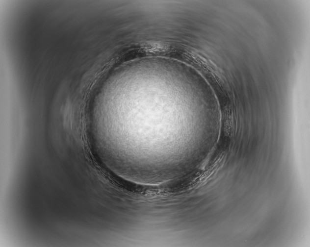 X0000093621345200710151253