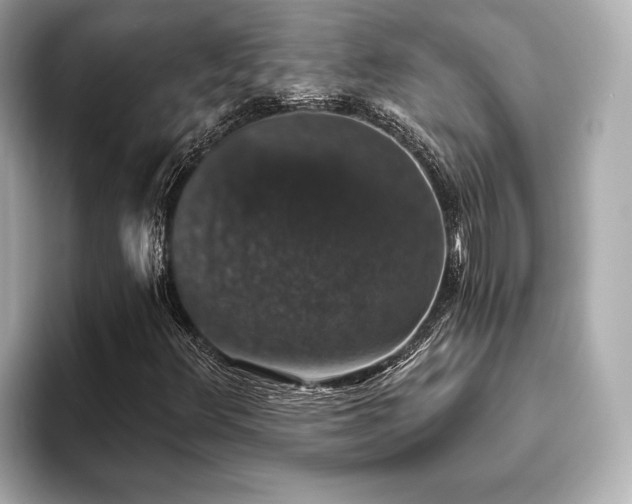 X0000093621348200710151253