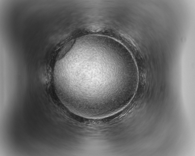 X0000093621349200710151253