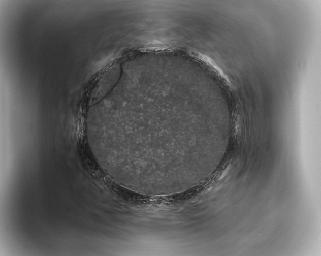 X0000093621350200710151253
