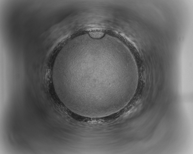 X0000093621351200710151253