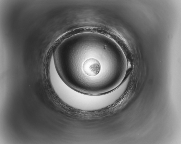 X0000093621352200710151253