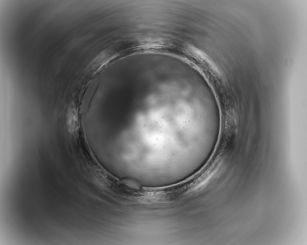 X0000093621353200710151253