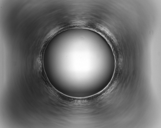 X0000093621354200710151253