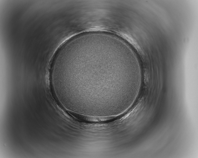 X0000093621356200710151253