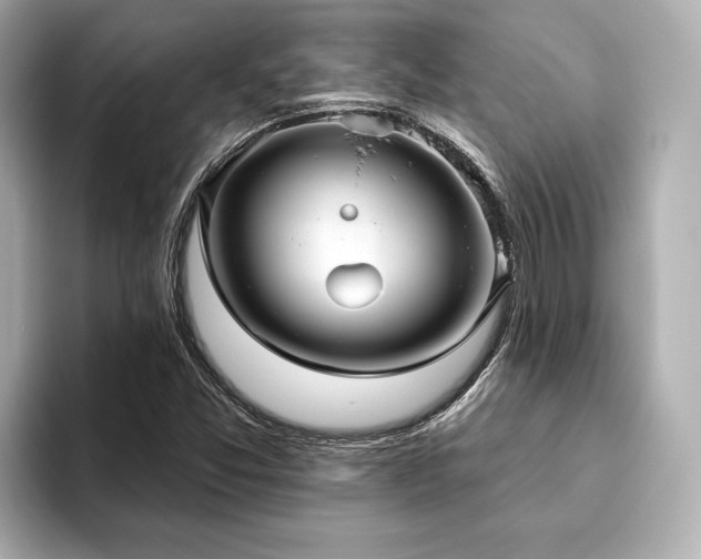 X0000093621357200710151253