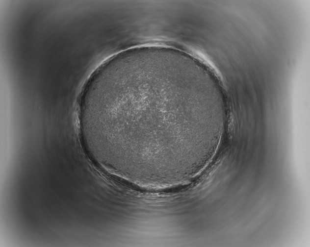 X0000093621360200710151253