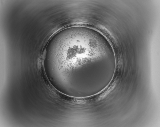 X0000093621361200710151253