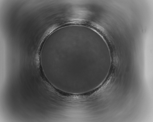 X0000093621362200710151253