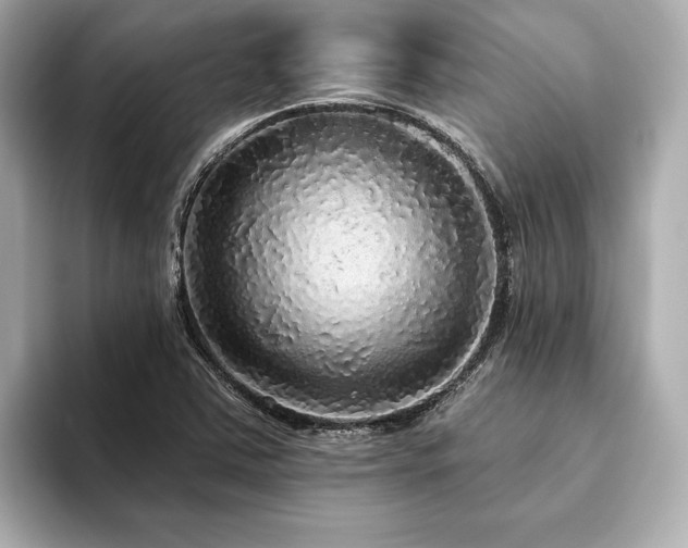 X0000093621363200710151253